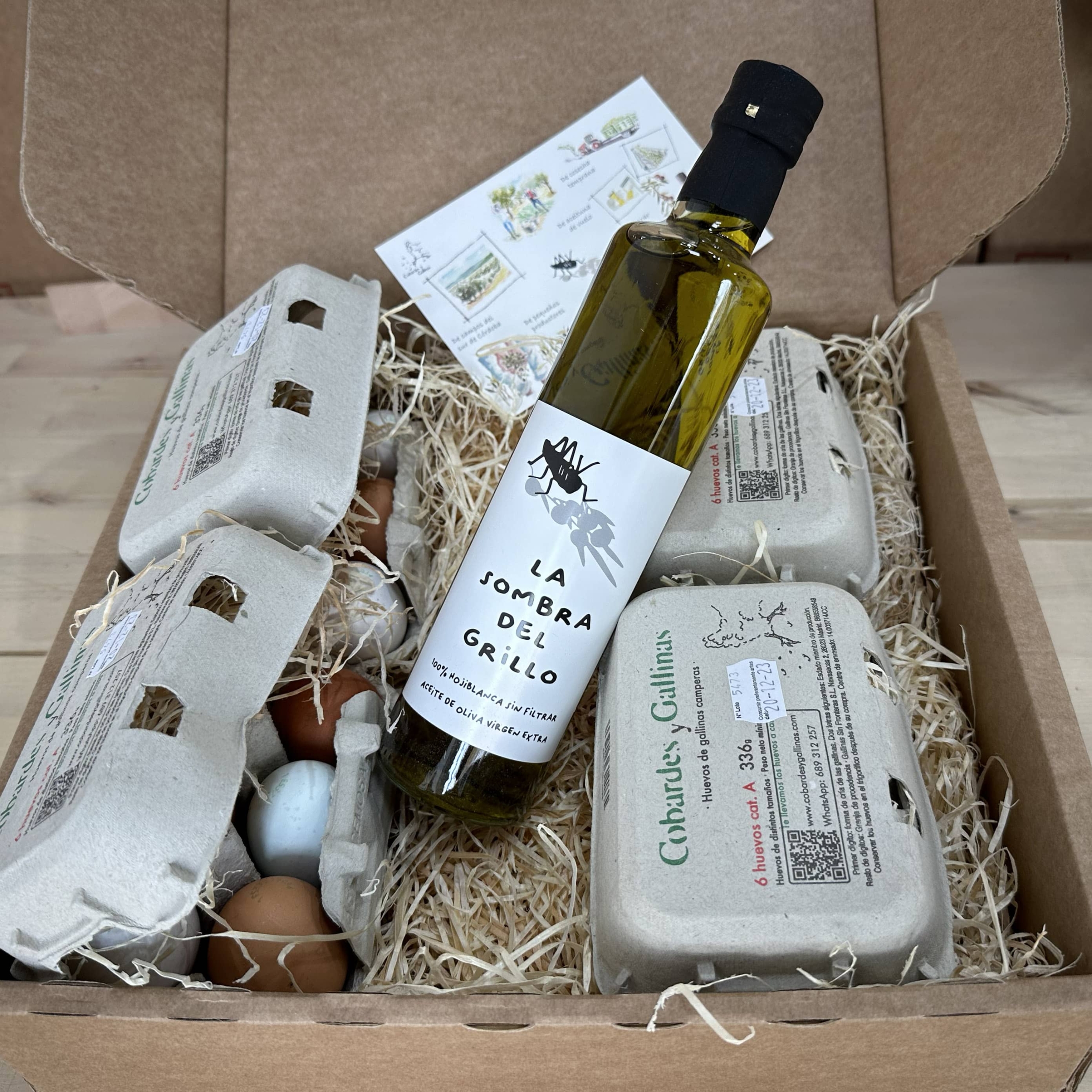 pack cobardes y gallinas 01 scaled